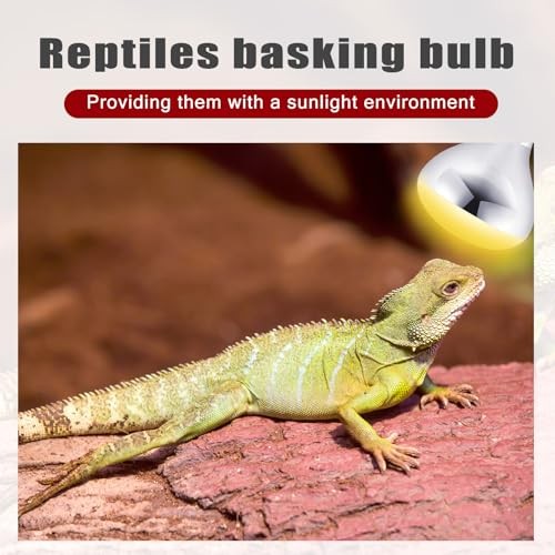 Pack 250 Watt Heat Lamp 120v R0 Heat Lamp Bulbs Glass 250 Watts 4 Silver, Red