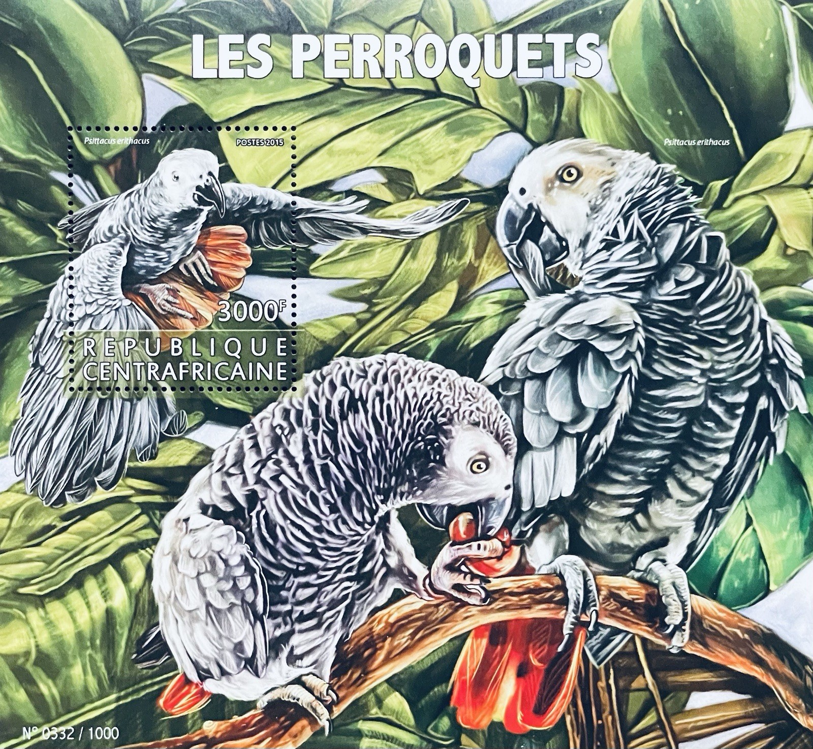 CENTRAL AFRICA PARROTS STAMPS SS 2015 MNH GREY PARROT MACAW BIRD WILDLIFE FOREST