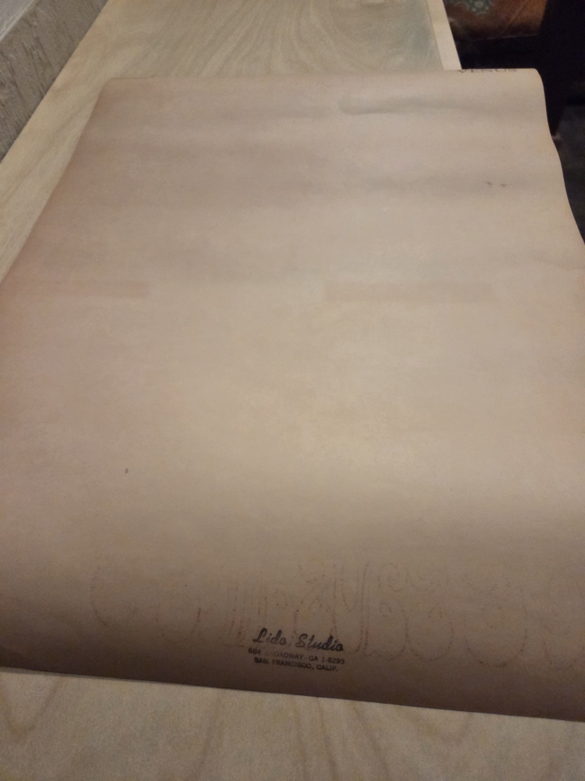 Big Brother Janis Ark Sausalito Poster AOR 2.309 1967 2nd Print RP-2 BG FD