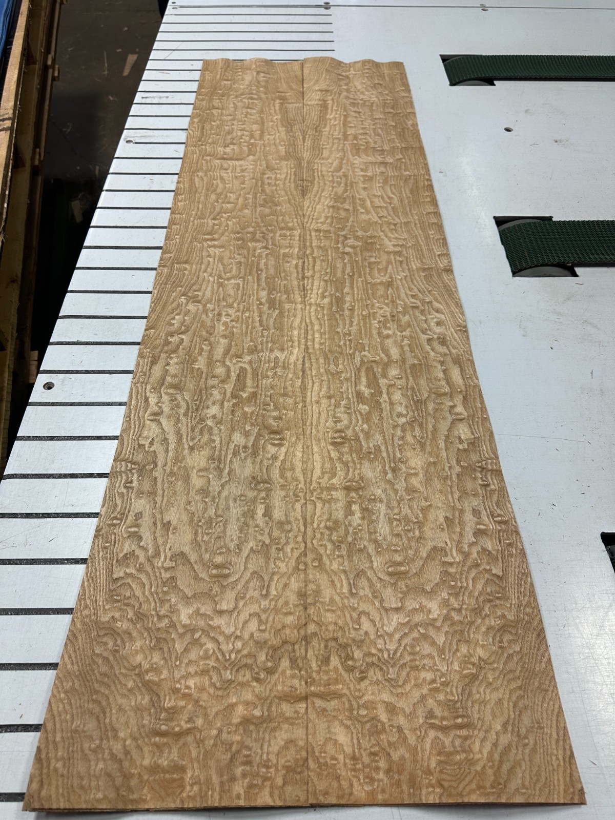 Tamo Ash Raw Wood Veneer 2 sheets 51'' x 8'' 319W