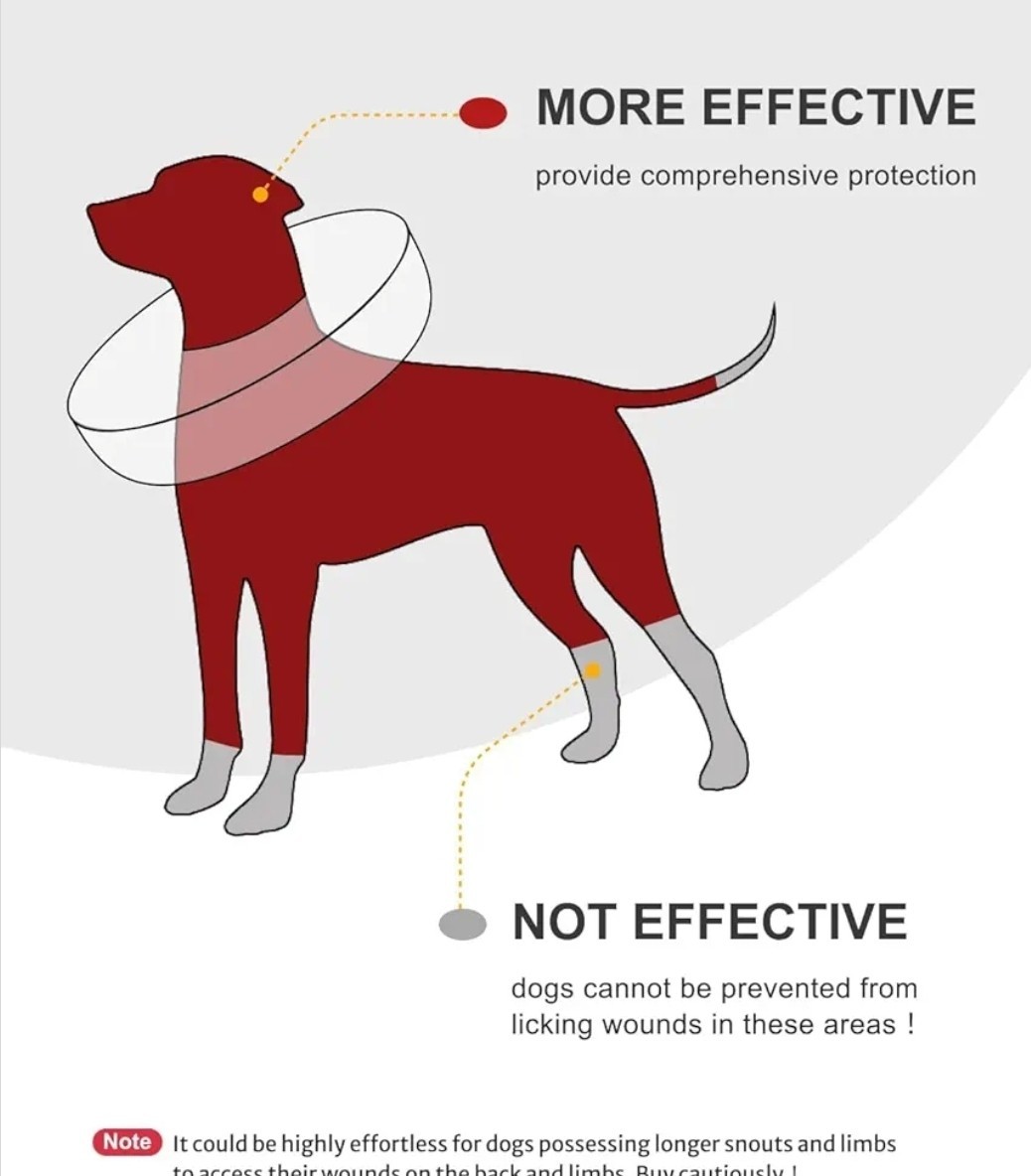 Soft Inflatable Dog Cone, Donut E-Collar Alternative for After Surgery size L