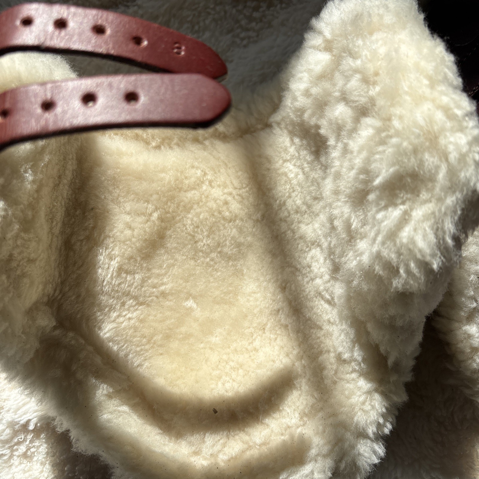 NWT Beval Ltd Sheepskin Ankle Boots Sz 3 New Jumper Warmblood equitation