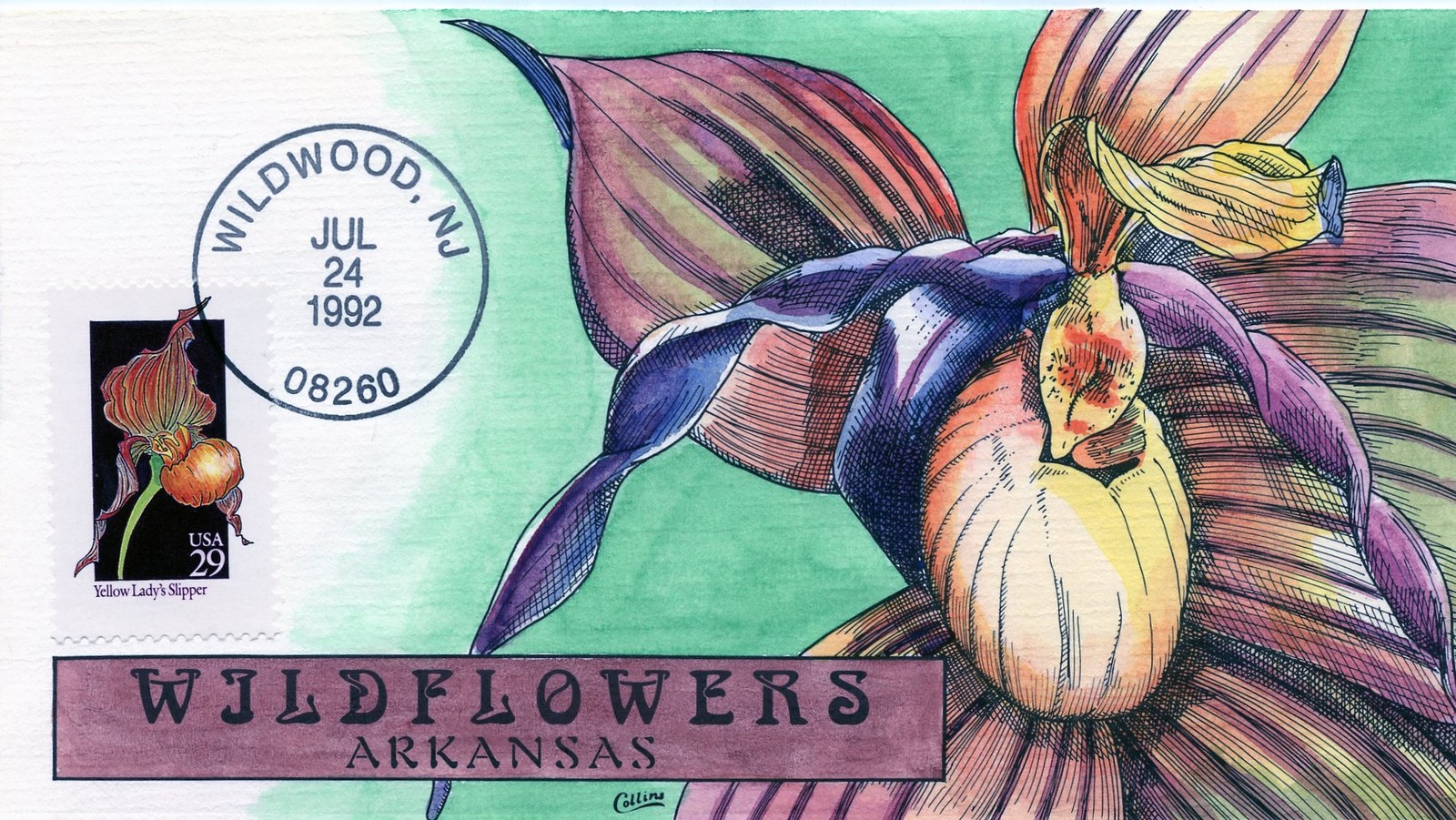 WWLF COLLINS FDC HAND PAINTED  STATE WILDFLOWERS  2673   ARKANSAS