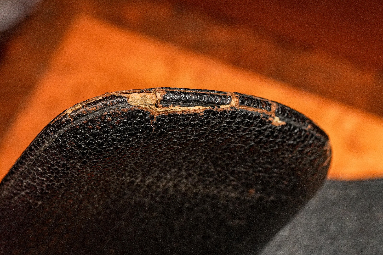 Austrian Antique Victorian Leather Cigar Case Silver Enamel Armorial Tobacciana