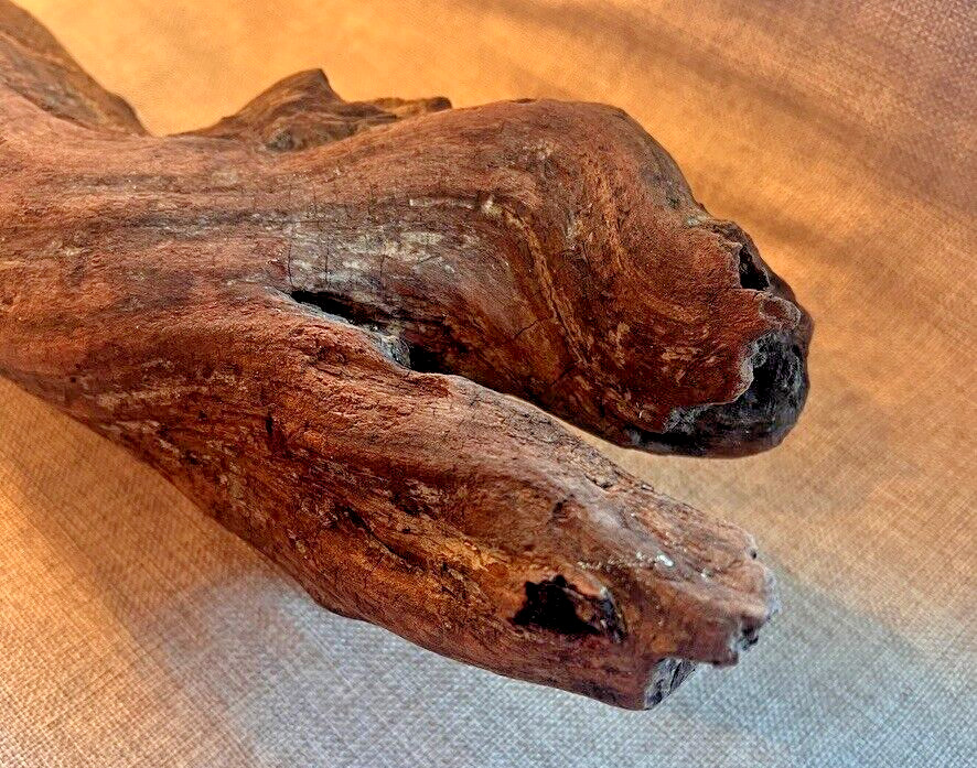 18" x 5" Redwood Driftwood Organic Craft Aquarium Rustic Boho Natural Wood
