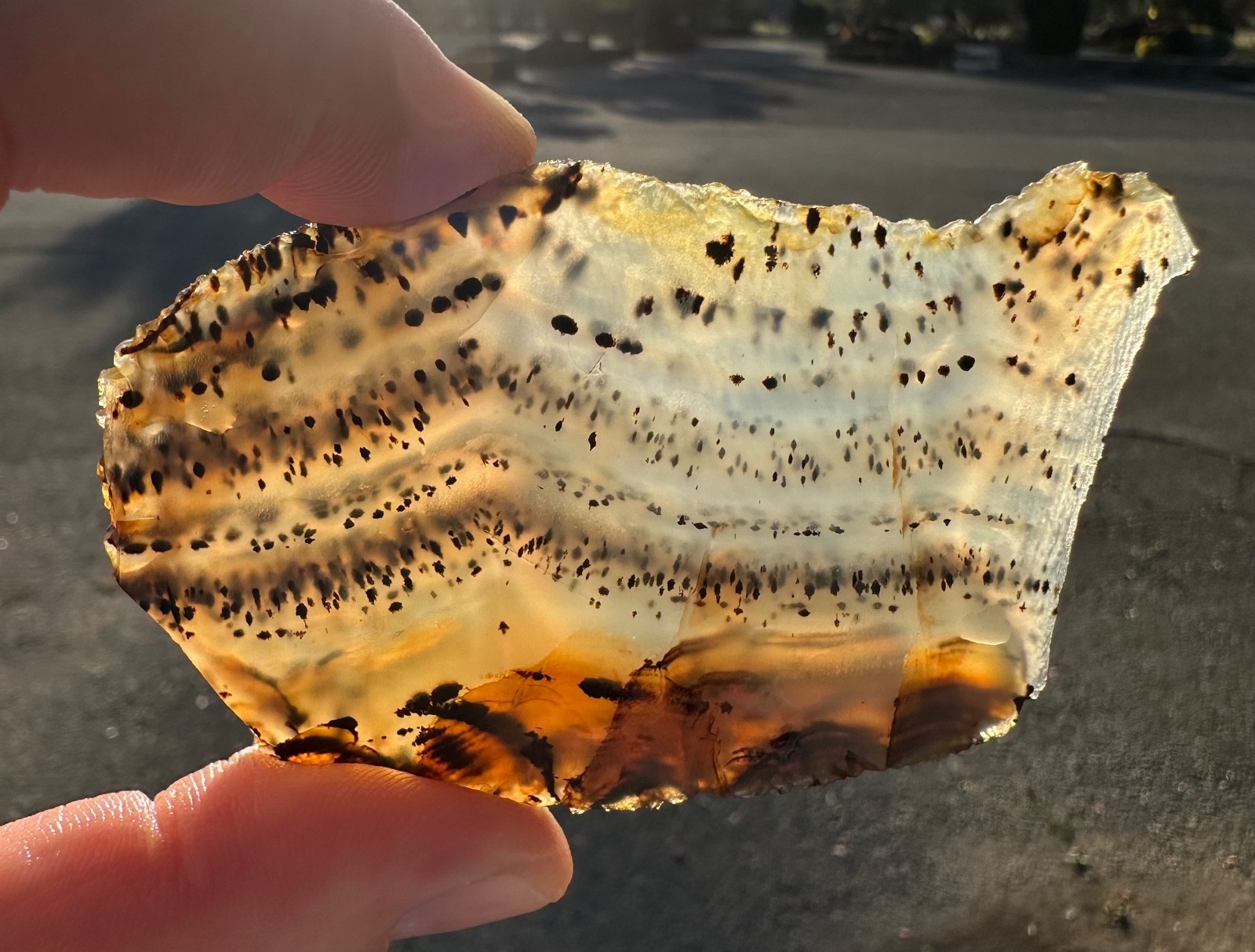 Montana Moss Agate End Cut, 58g, Cabbing/Lapidary