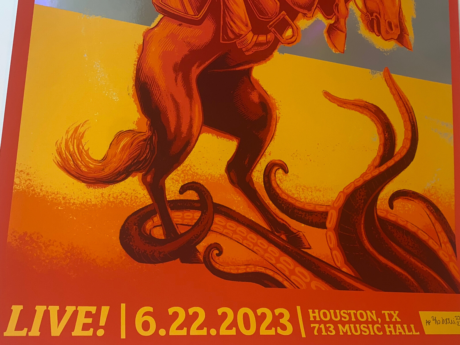 Dirty Heads Poster 713 Music Hall Houston TX 23 Silkscreen FOIL Low Run S/N X/10