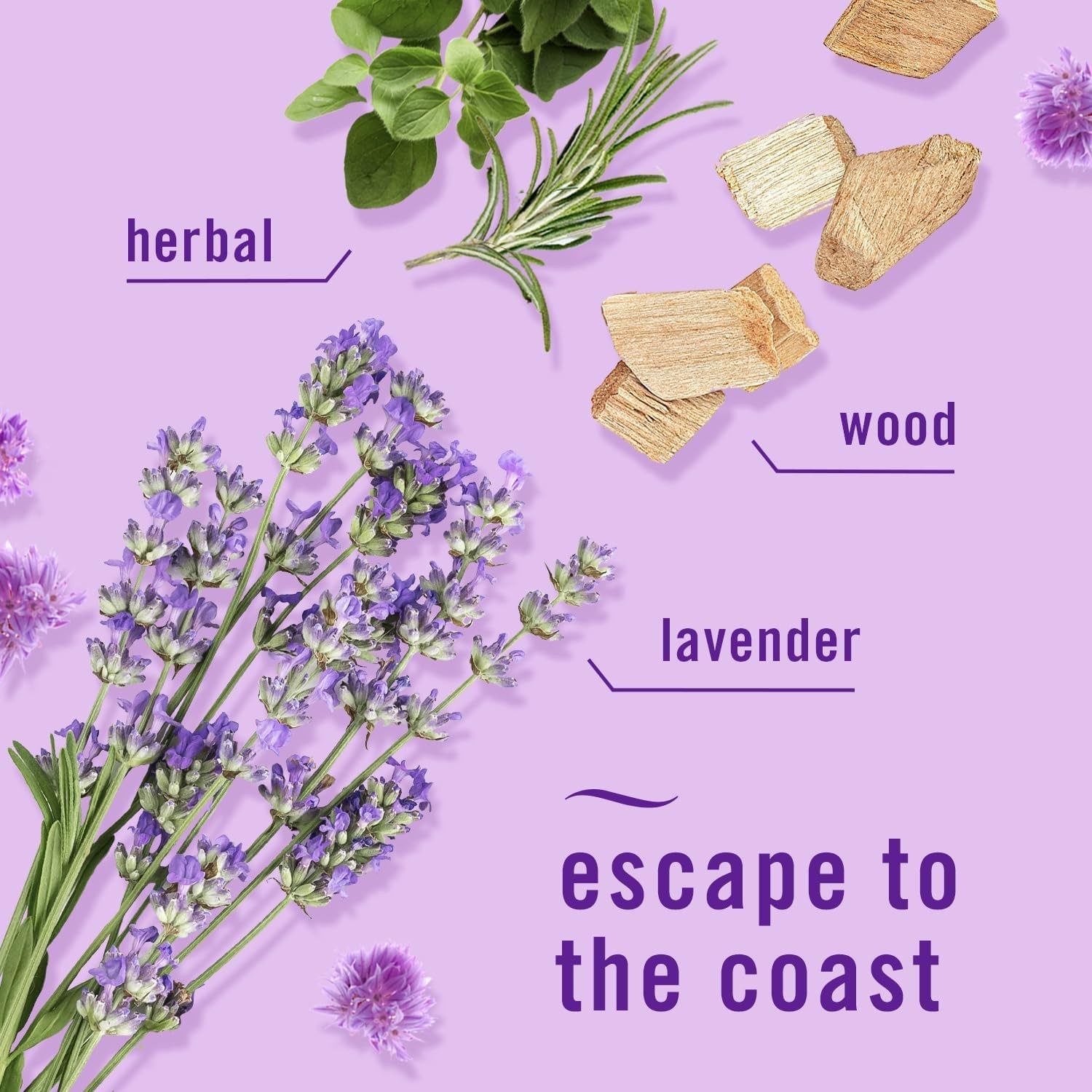 Swiffer Power Mop Refill Solution, Lavender Scent, 25.3oz X 2