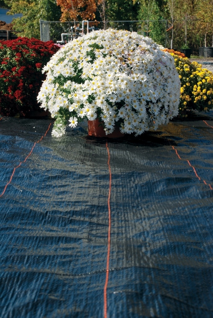DeWitt 15 Year Ultra Web Weed Barrier Landscape Fabric 8'x600' Roll