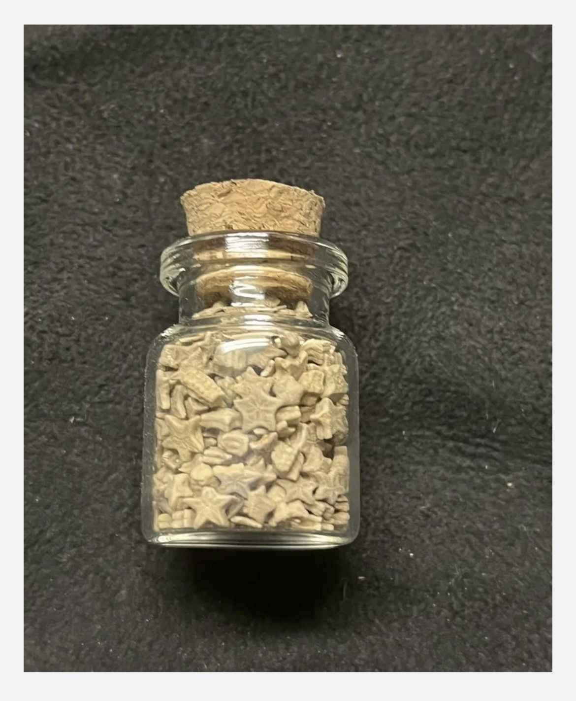 Utah Fossil Star Crinoid Pentacrinus Jurassic Age Echinoderm