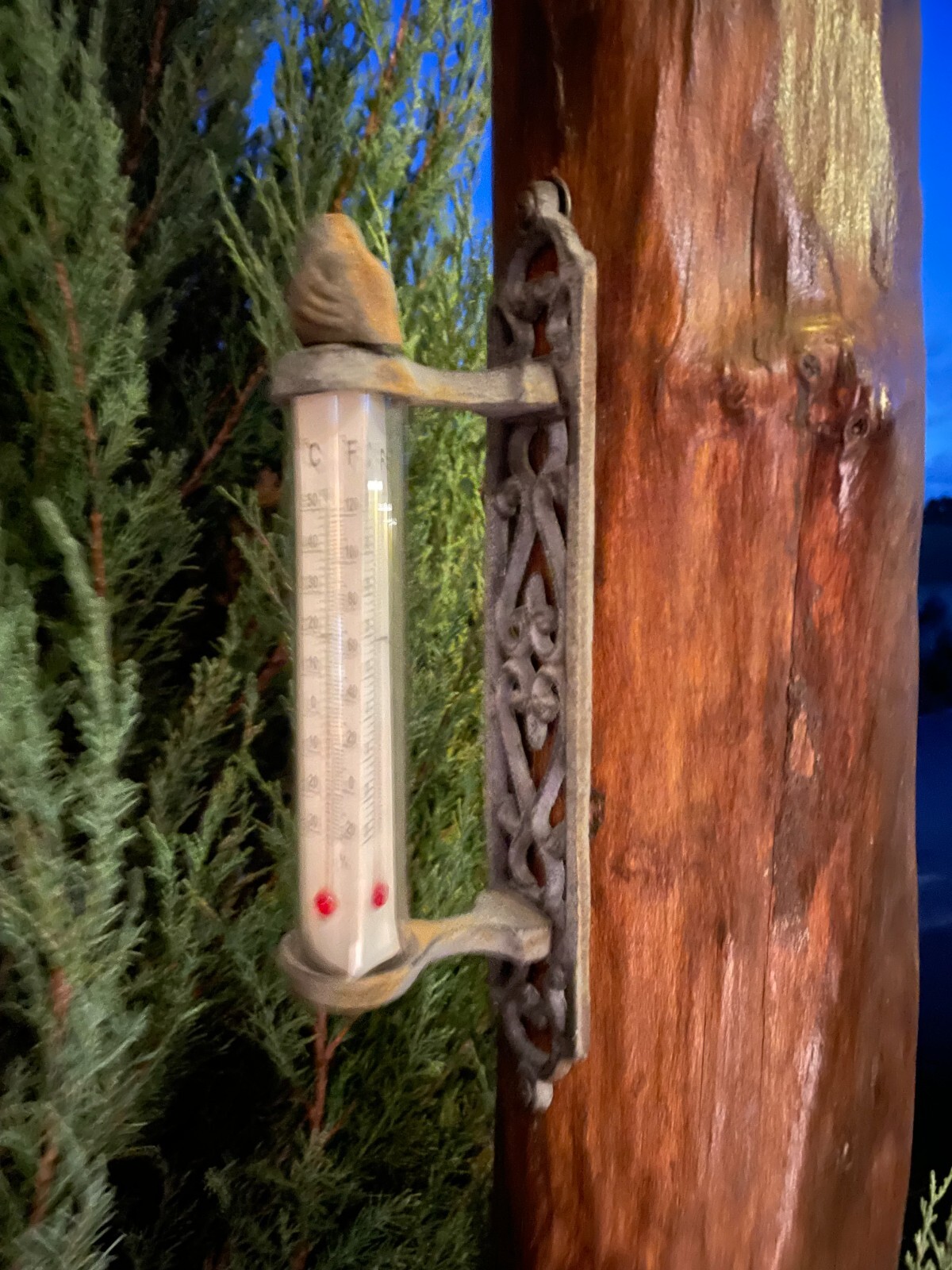 Metal Cast Iron Thermometer Bird Wall Indoor Outdoor Farmhouse Garden Decor NEW