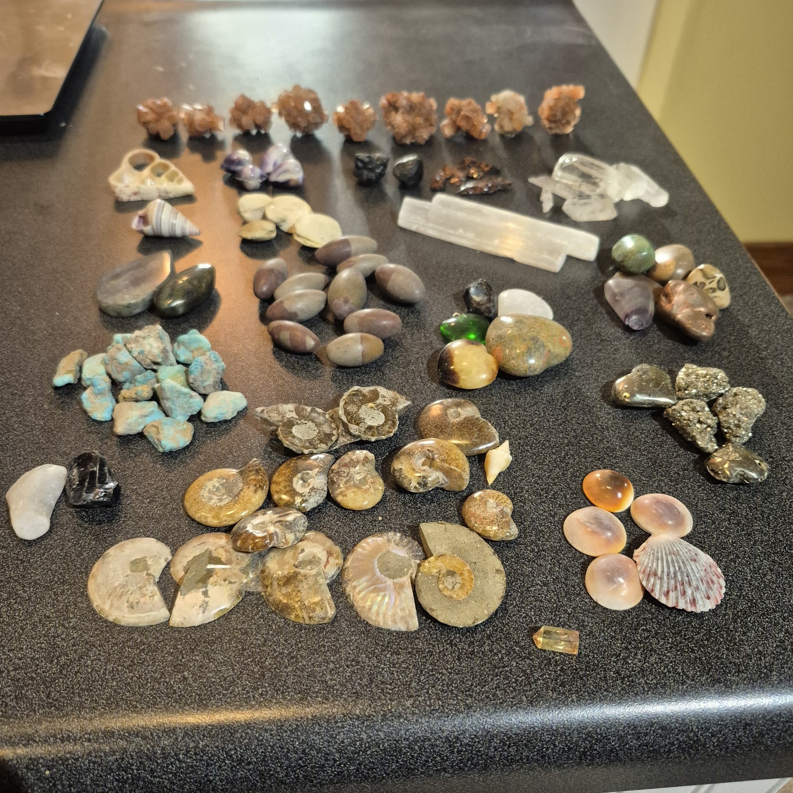Ammonite Fossils, Crystals, Mineral Specimens, Shells, Cabochons Mixed Lot