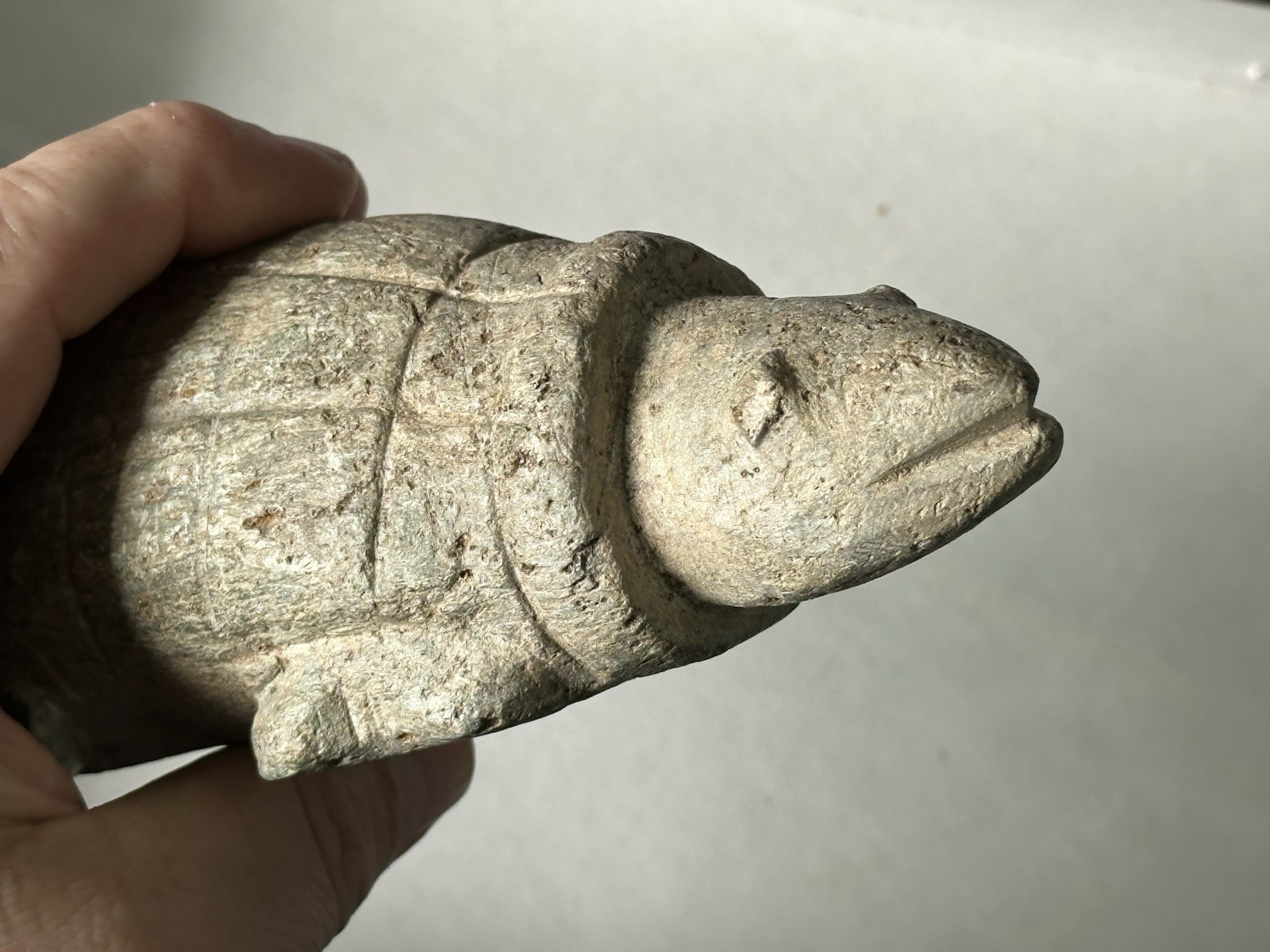 RARE CARVED STONE TURTLE EFFIGY FROM THE COLUMBIA RIVER, OREGON, MOTLEY COA