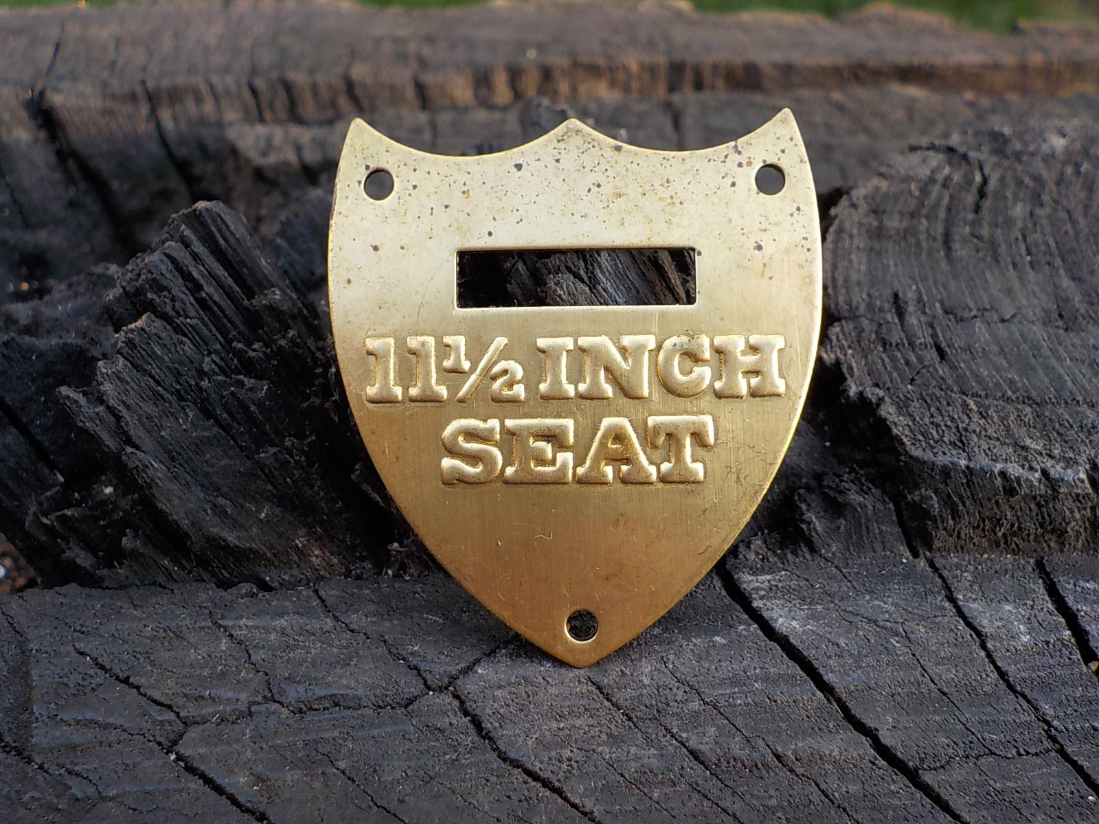 11 1/2 Inch Calvary Saddle Shield with Free Display Case for Display and Protect