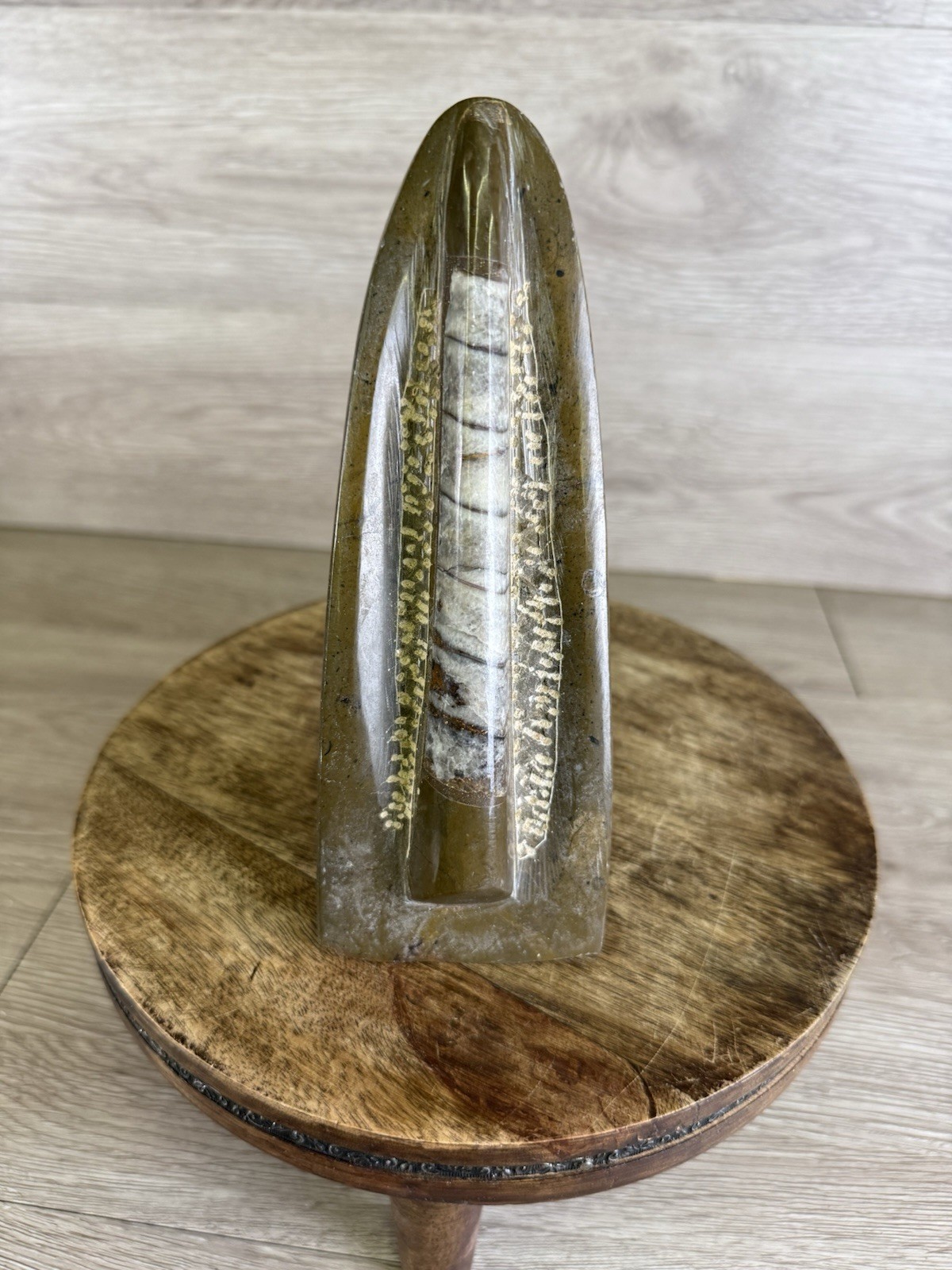 Vintage Standing Orthoceras Fossil 7” - Prehistoric Cephalopod Natural Display