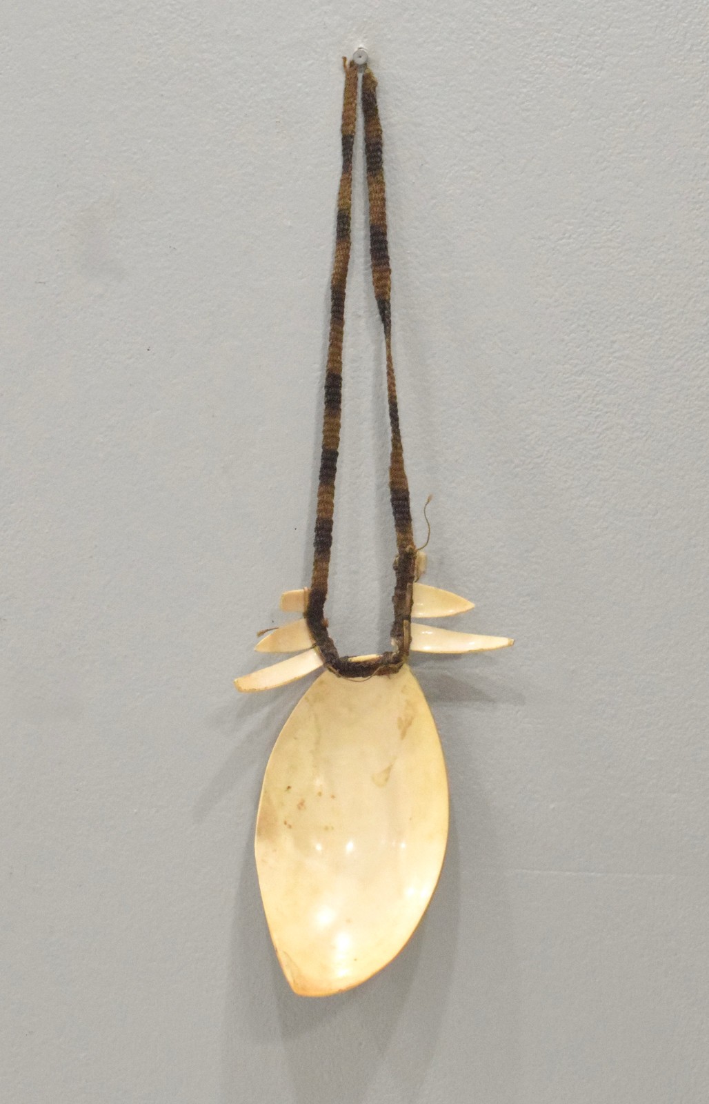Papua New Guinea Bailer Shell Necklace