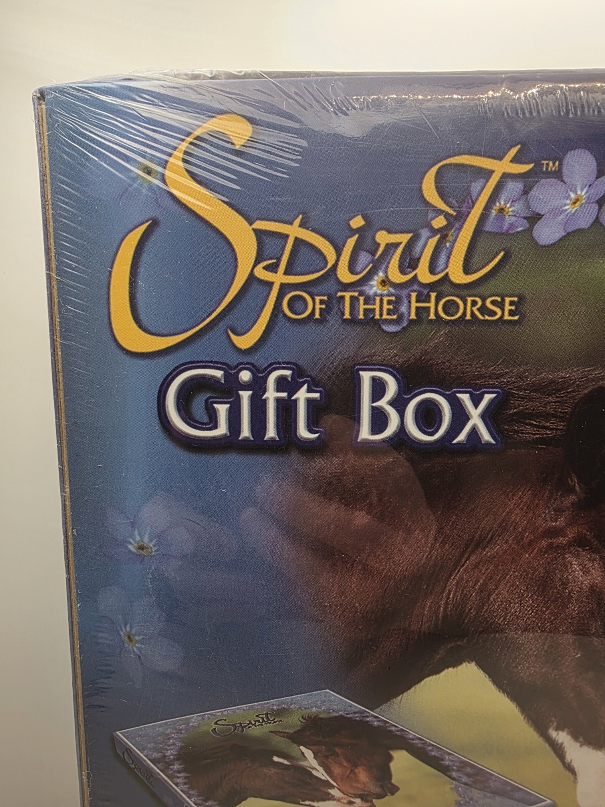 Spirit of the Horse Gift Box Stationery Set Journals Memo Books Pencils NEW