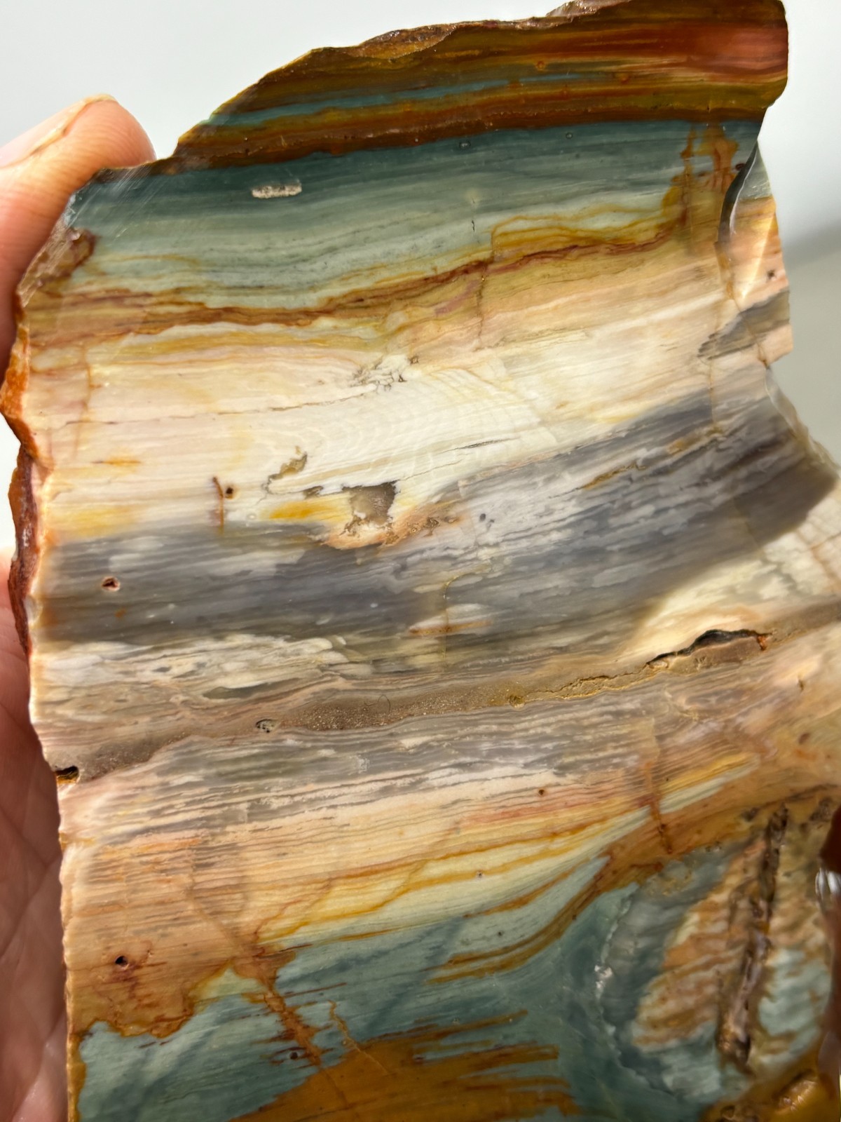 Gary Green Caldera Freedom Jasper Slab Cabbing Lapidary Combo Ship Avail