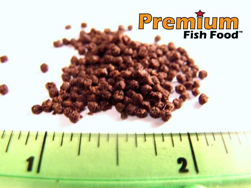 10 lbs Premium Bulk Cichlid 1/16 Pellet Fish Food SALE!
