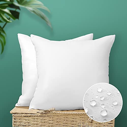 Outdoor Throw Pillow Inserts - Pack of 2 Water 20x20 Inch (Pack of 2) 2 Pack