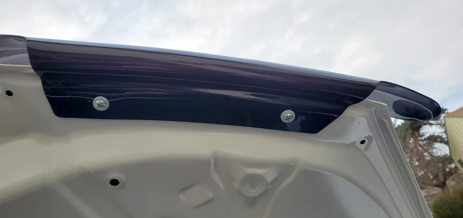 BugFlector II Hood Protector Bug Shield Deflector for 2010-2024 Toyota 4Runner