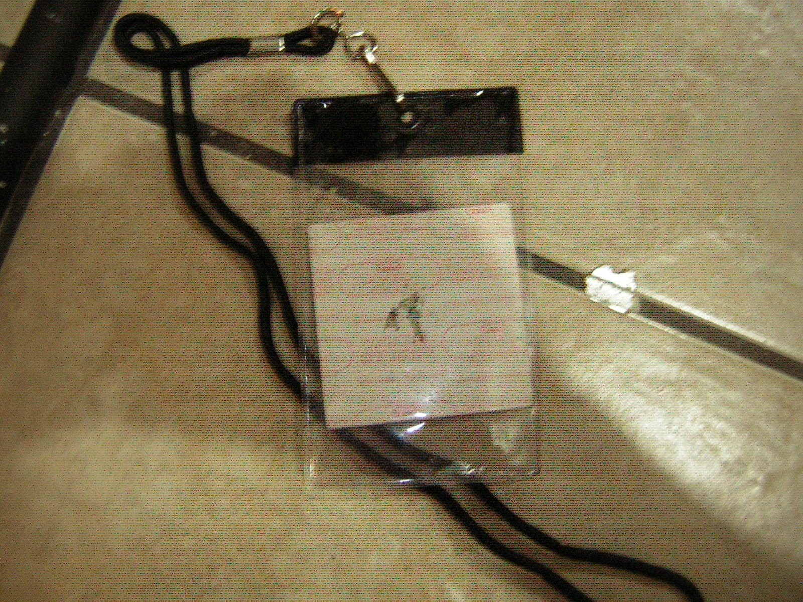 ALICE COOPER STAGE USED CANE W/ BACKSTAGE PASS 8-25-2005