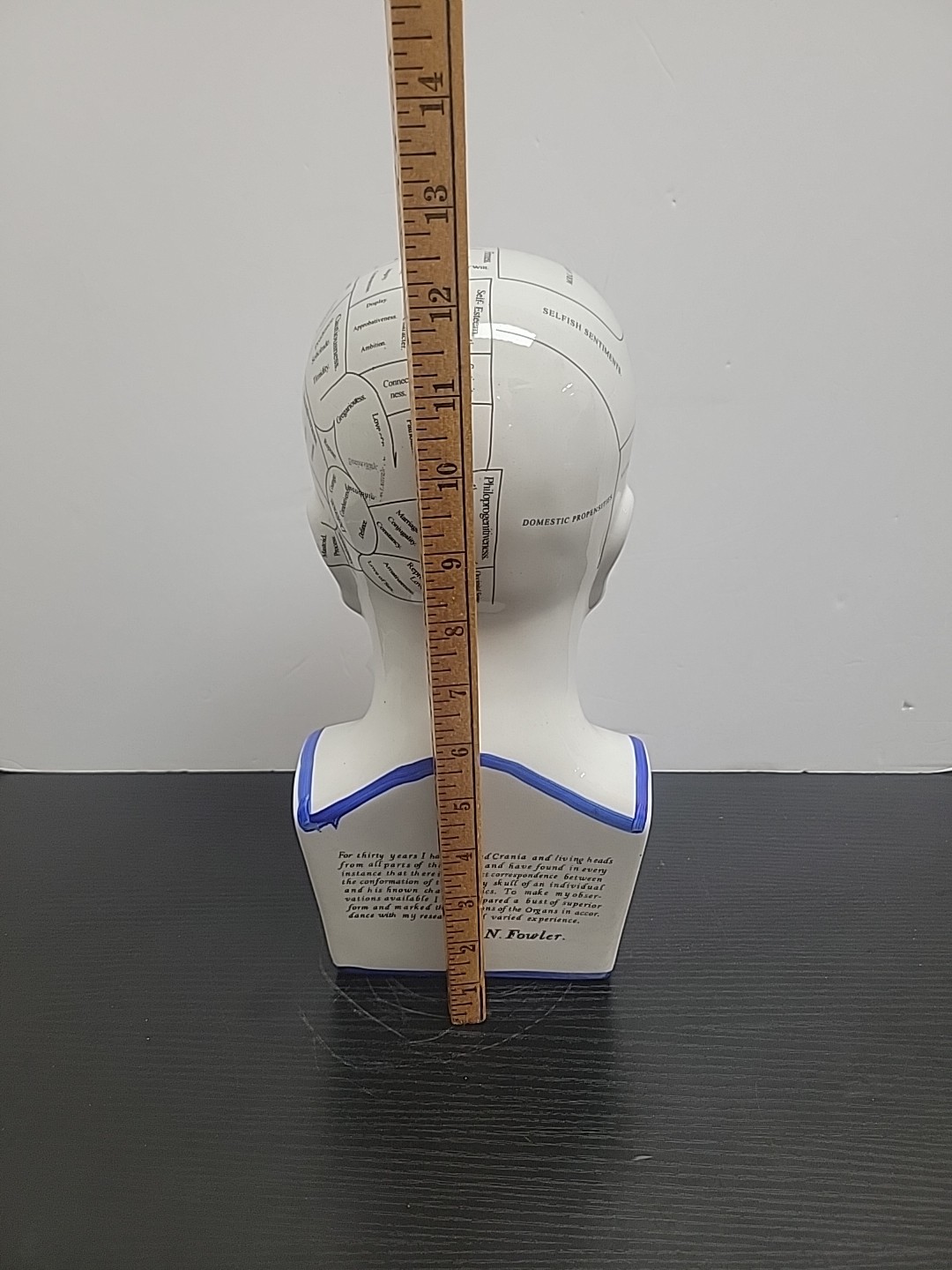 Phrenology Head 12" Ceramic Model Bust L. N. Fowler