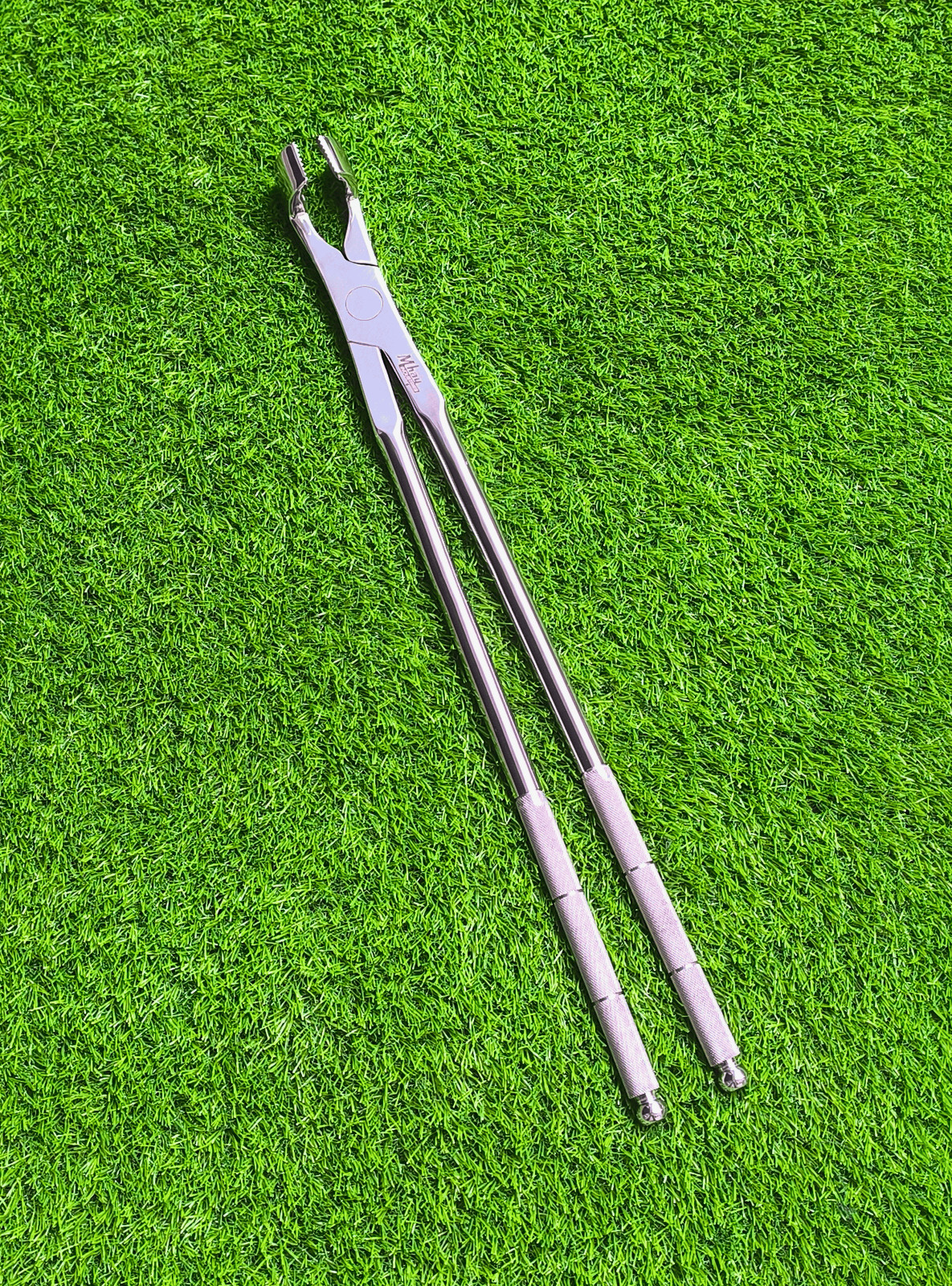 Molar Equine Dental Forceps 21"