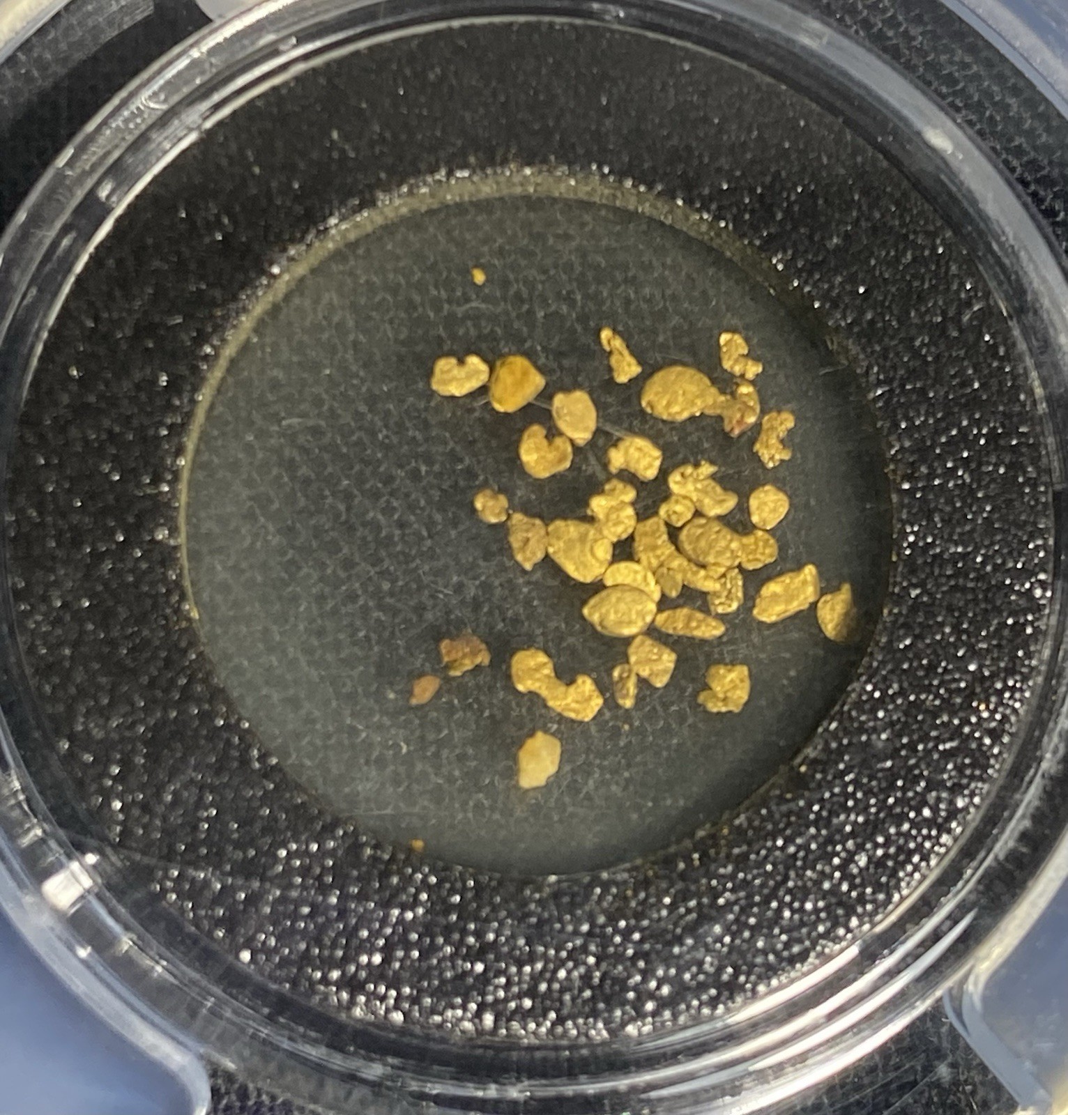 GOLD SS Central America SHIPWRECK 1857 SEA SALVAGED California Rush Nuggets PCGS