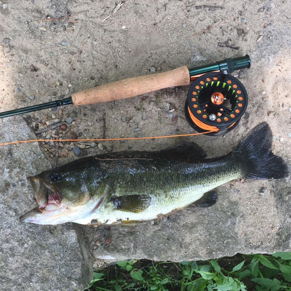 Fly Fishing Rod and Reel Combo Kit 3/4/5/6/7/8 Weight for Starter Fly Fishing