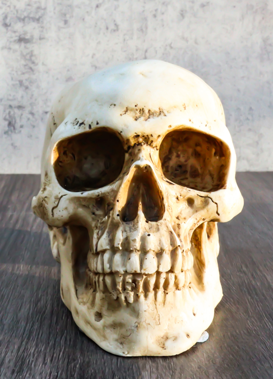 Small Skull Head Statue Cold Cast Resin Figurine 3.5" Tall