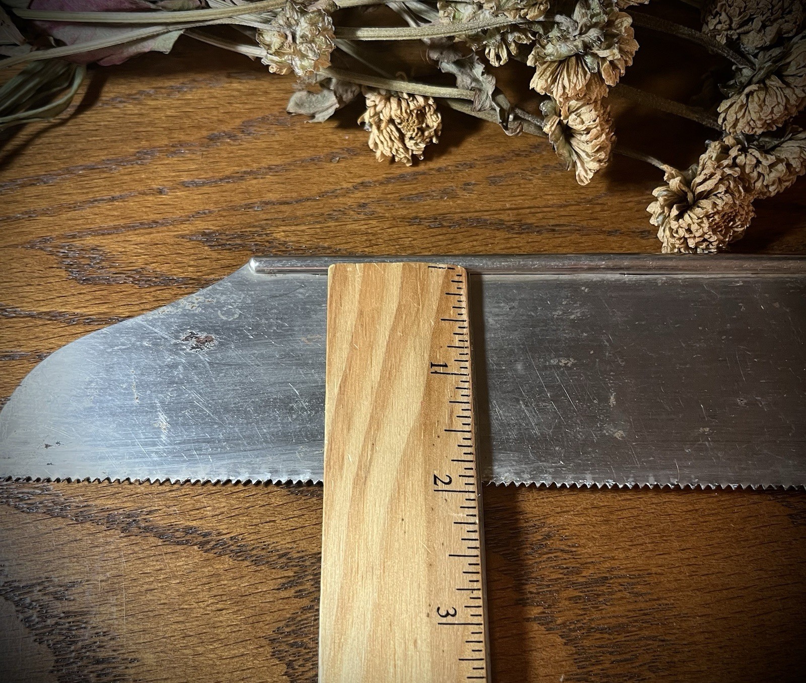 Antique chrome metal bone amputation saw mortuary autopsy surgery medical