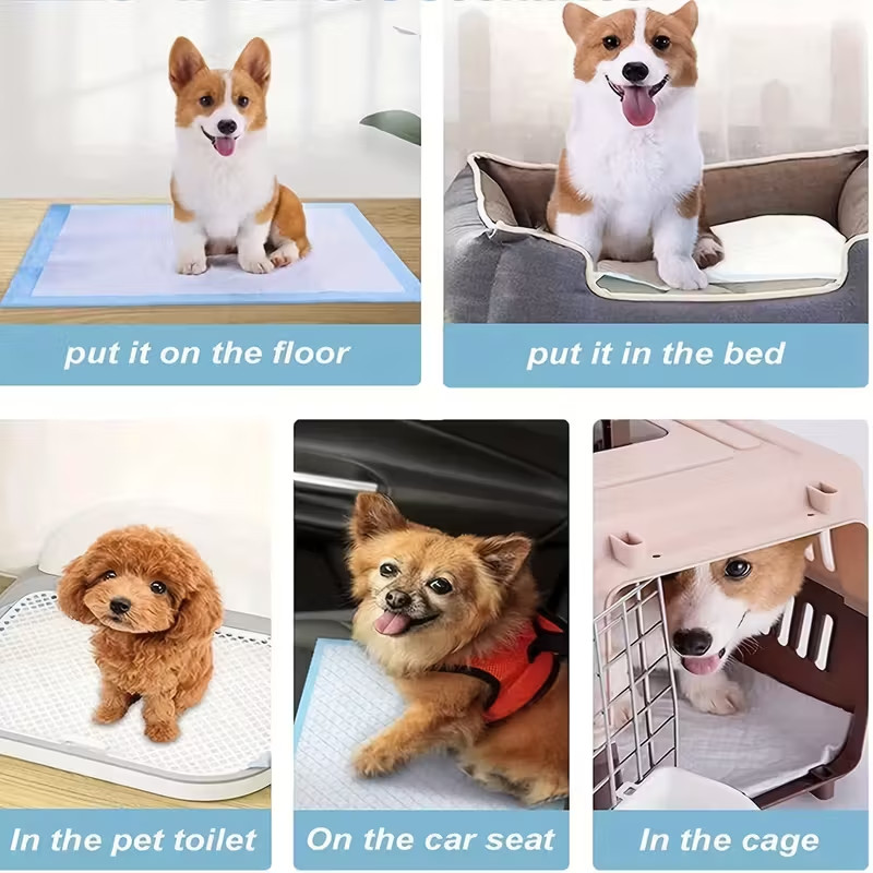 Dog and Puppy Training Pads, X-Large 28x34 inches 100 Count Dog Pee Potty