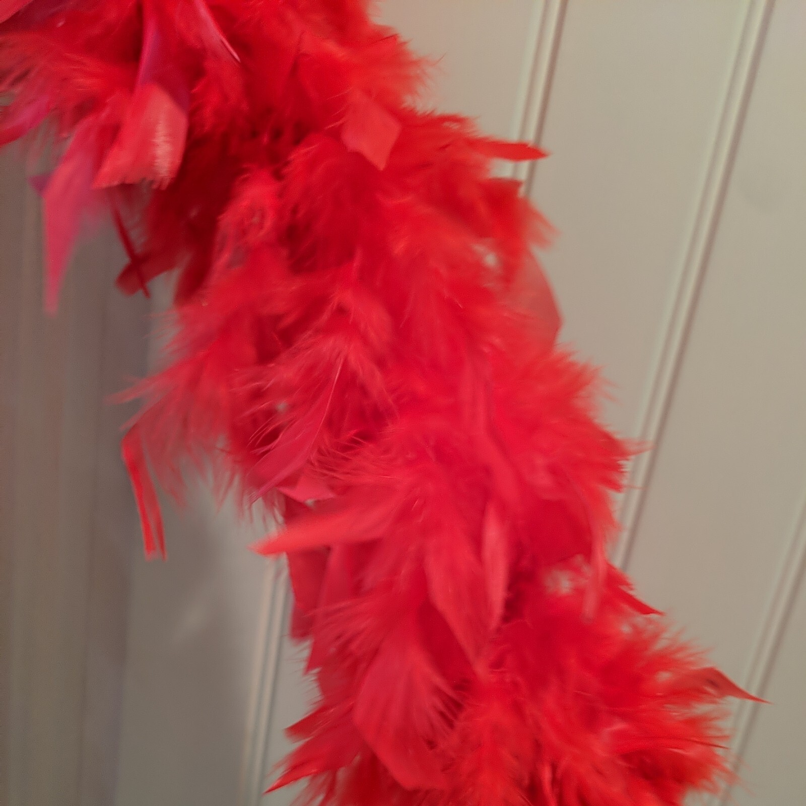 Red Feathers Boa String 6 Feet Long Accent Dance Piece Costume Sexy