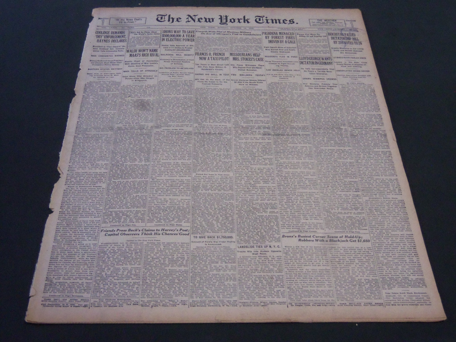 1923 OCTOBER 14 NEW YORK TIMES - REICHSTAG PASSES DICTATORSHIP BILL - NT 5864