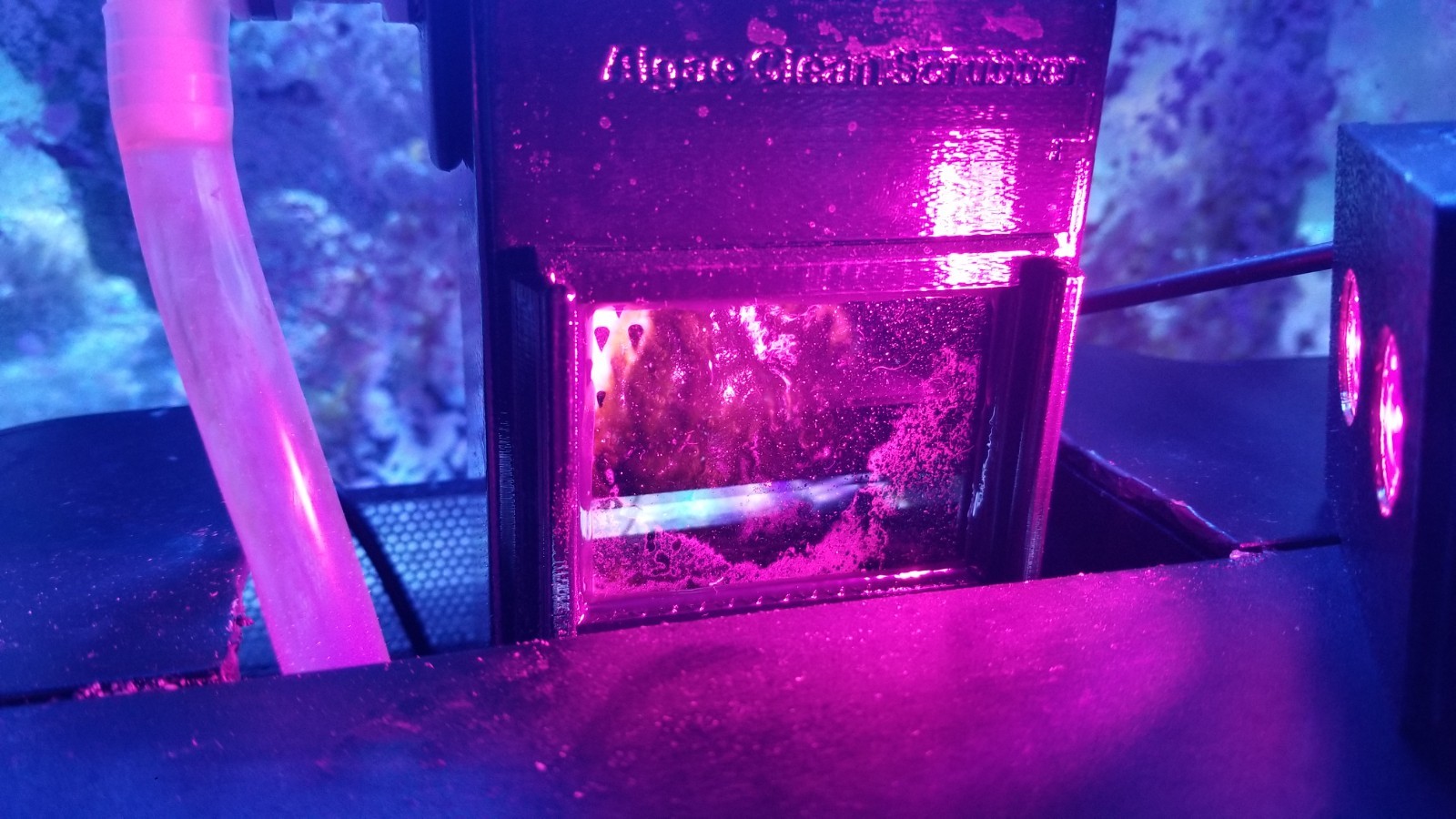 Algae Clean Scrubber ACS-2-MINI (Internal) Hang on Back or in Small Sump 9VDC