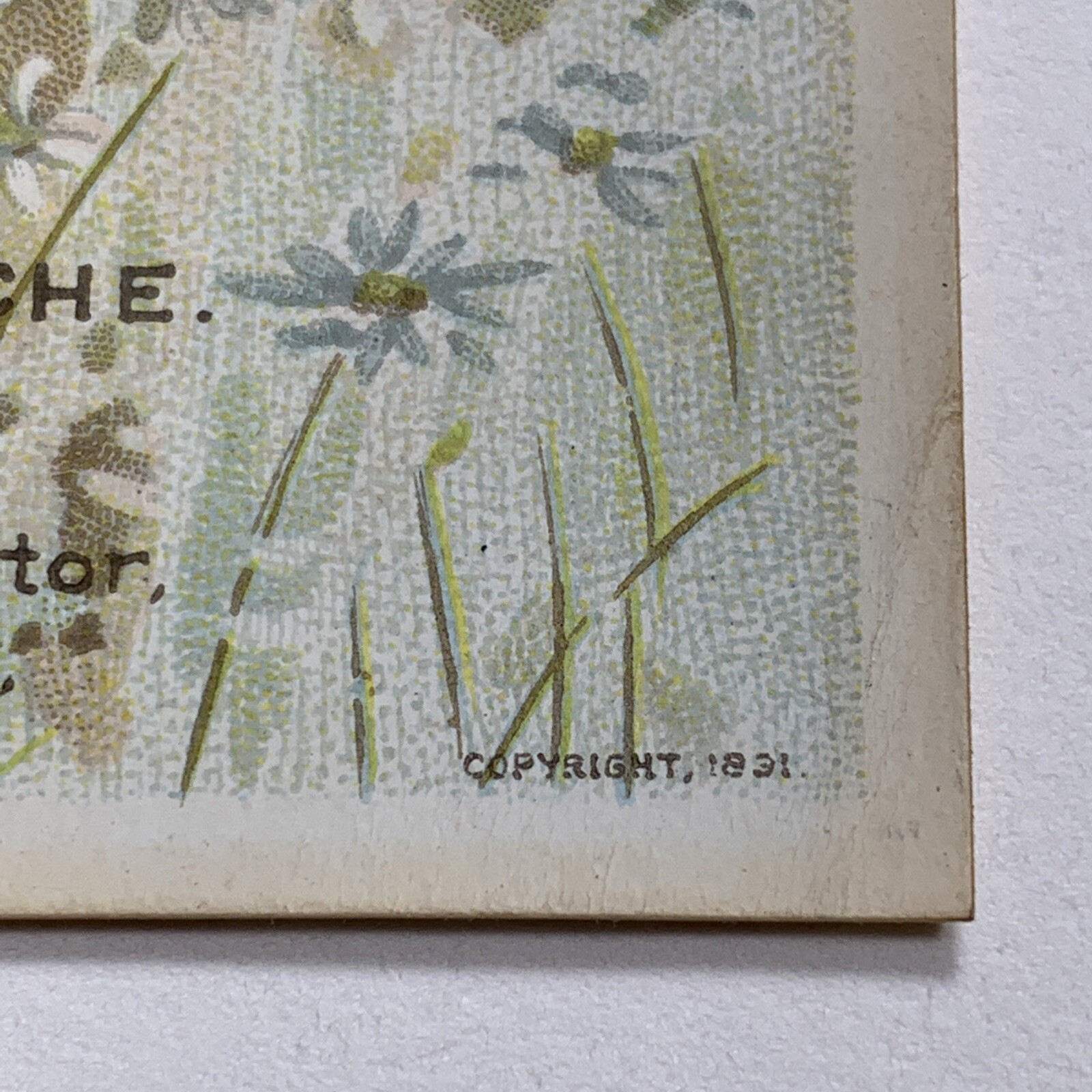 Shaker Family Pills Litho Trade Card 1891 Matted Ready For A Frame