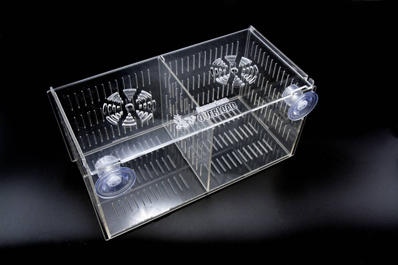 Aquarium Overload Clear Acclimation Breeder Mushroom Quarantine Box Free US Ship