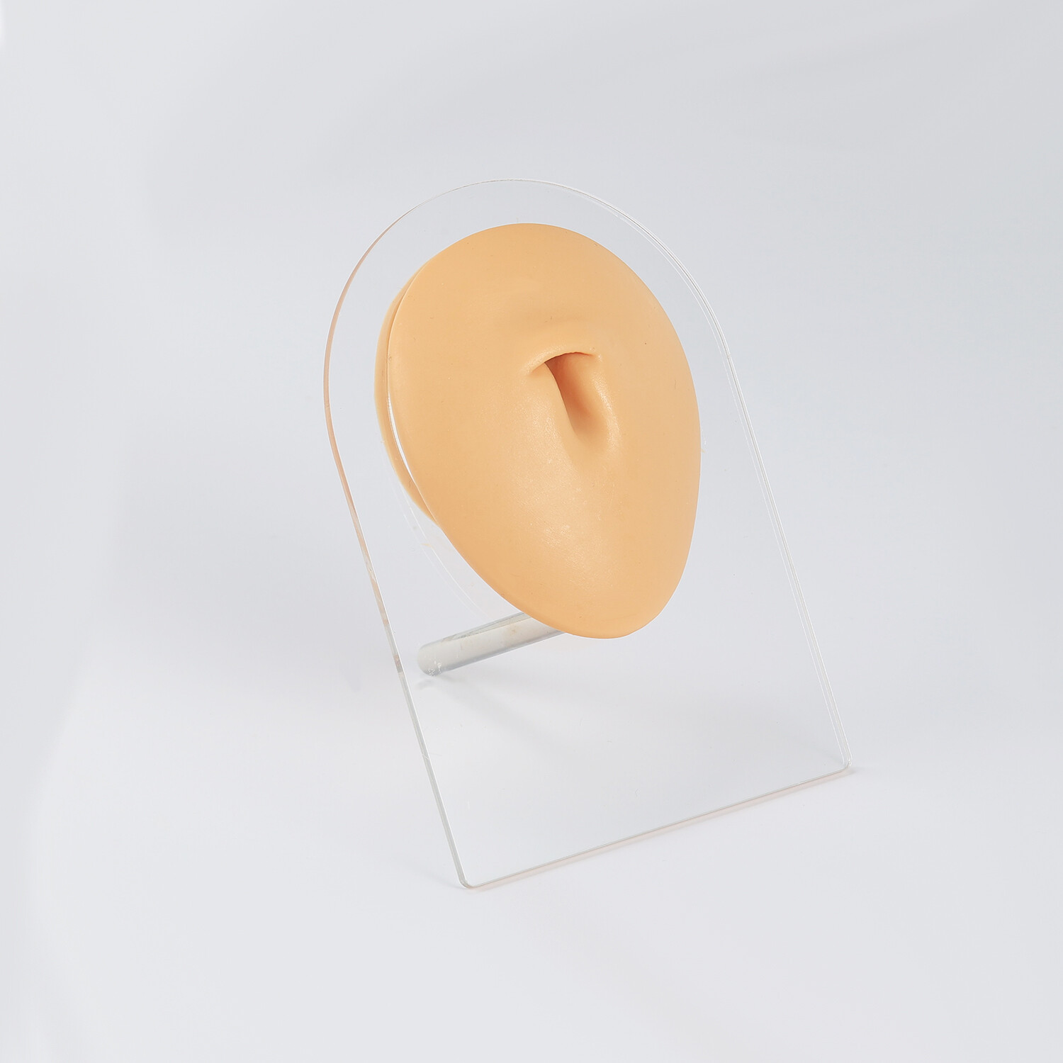 Silicone Ear Model with Acrylic Display Stand Body Parts Practice Piercing Tools