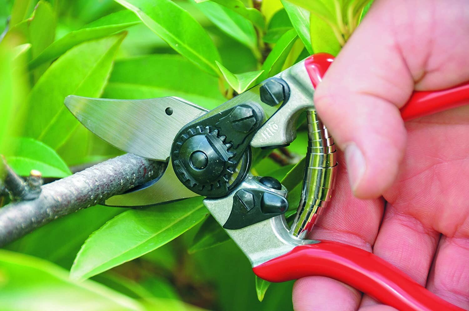 Felco 6 Pruner Swiss Made Pruning Shear Red Shears New F6