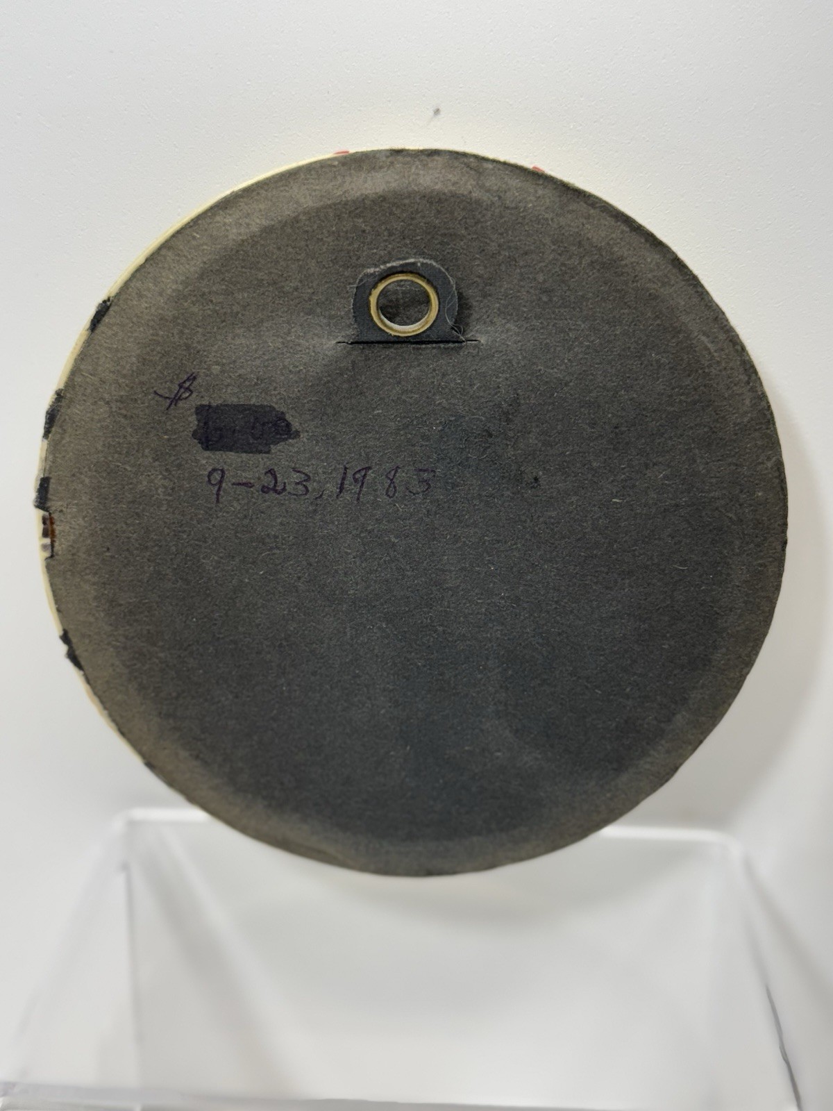 Vintage Belgium Cide Art Dried Flower Art Preserved Under Domed Glass Frame