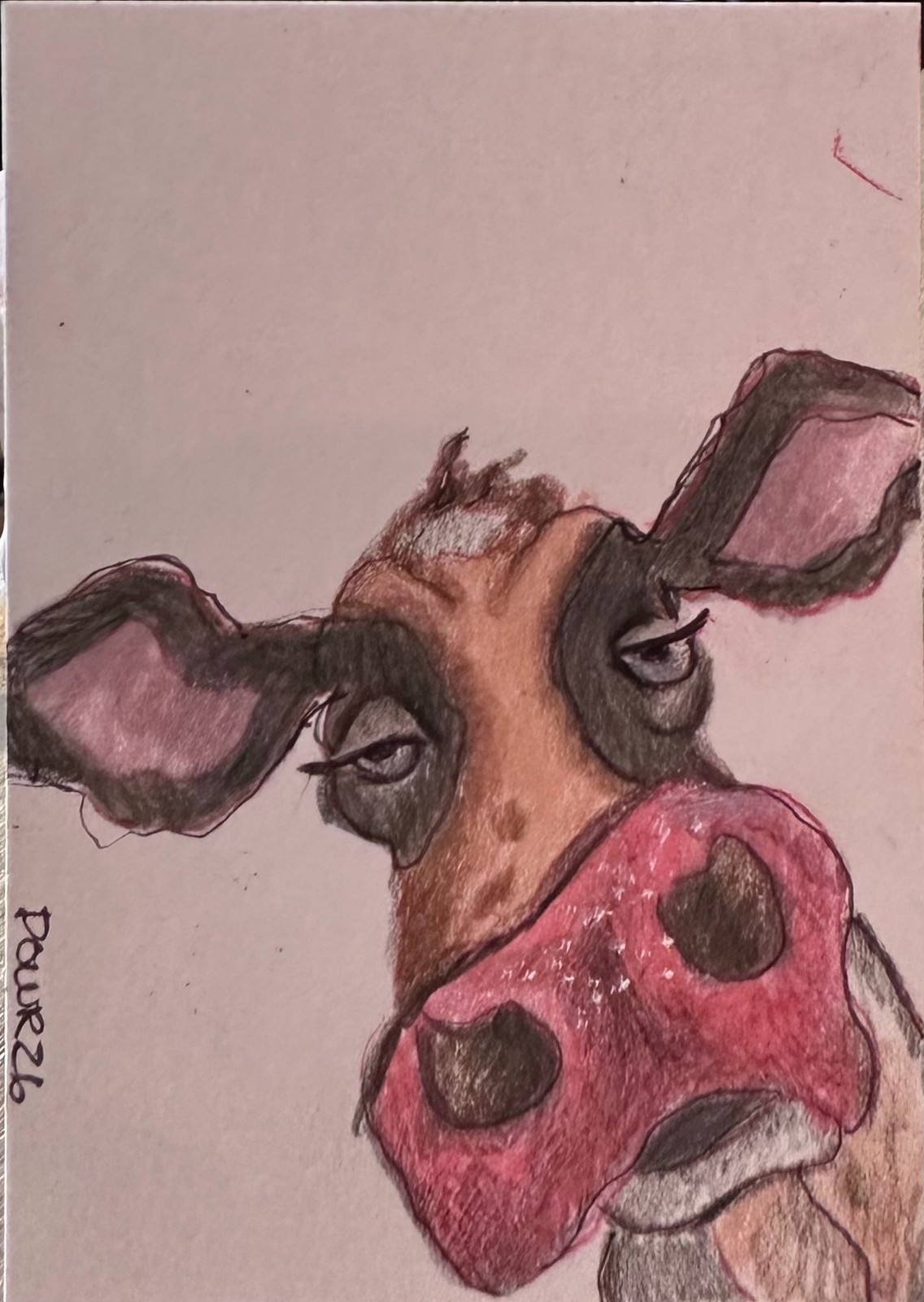 ACEO Original - Cow (Drowl Cow)