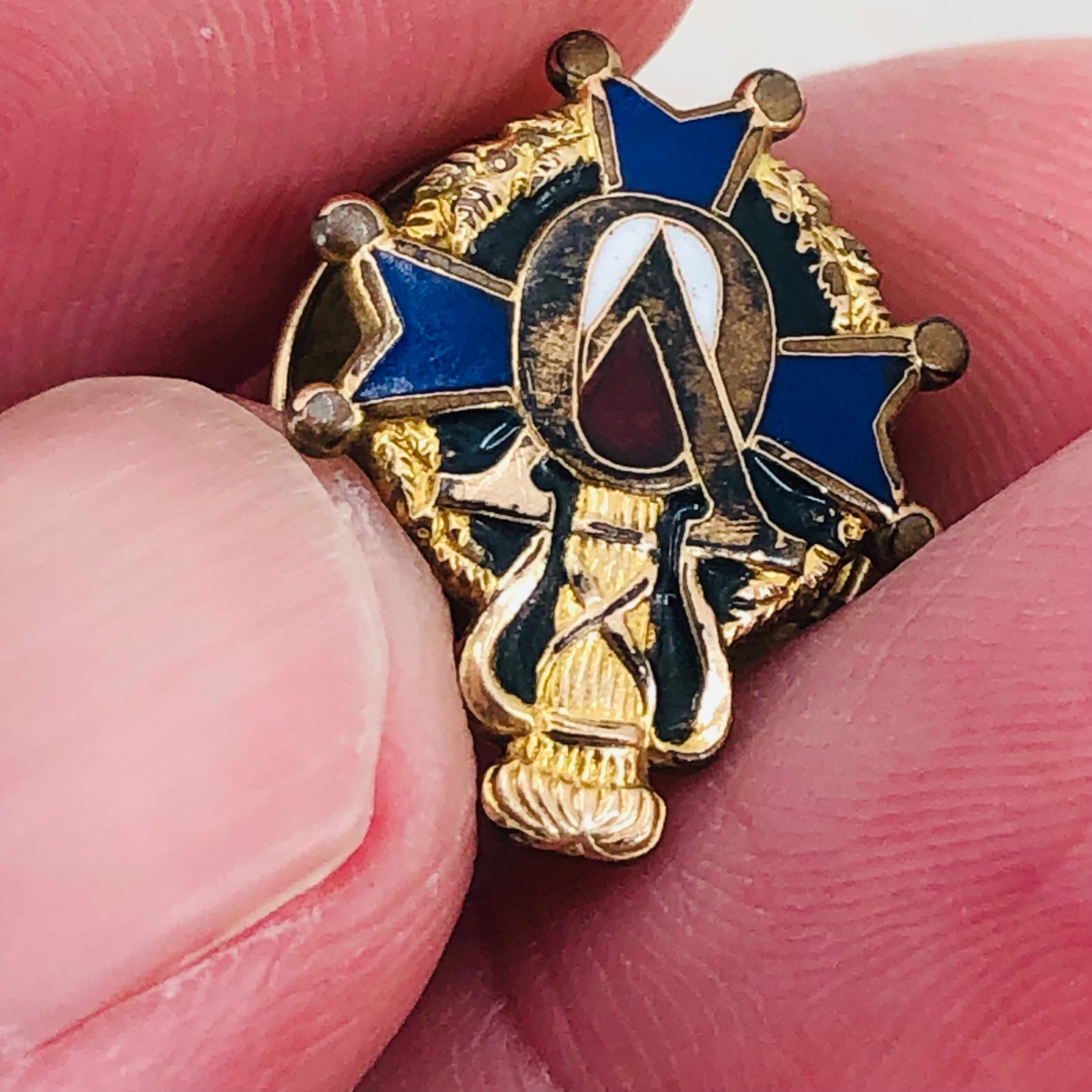 Vtg VASA Order of America Swedish Fraternity Member Screw Back Enamel Lapel Pin