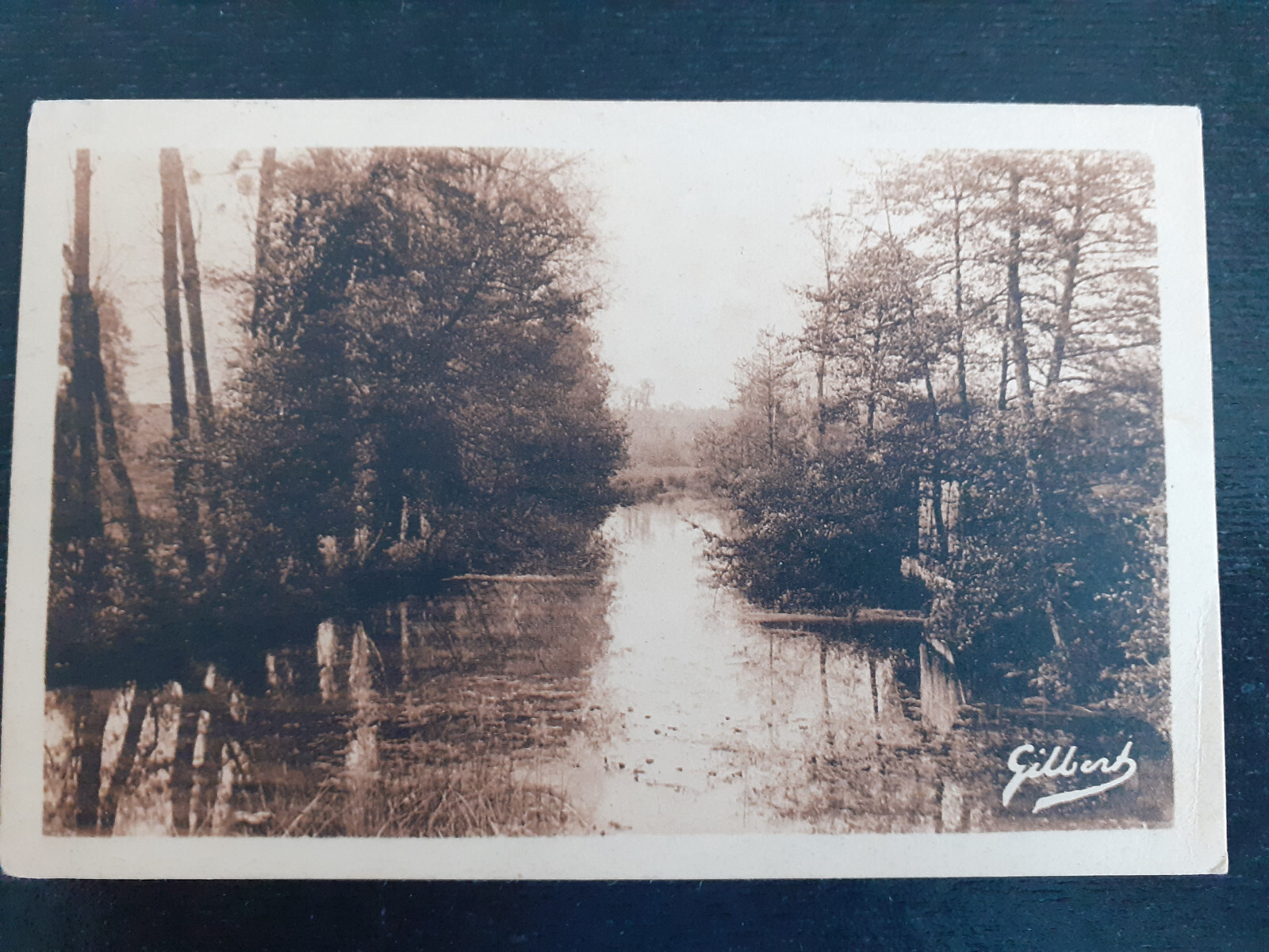 France - 1942 - Postcard from Charroux to Paris - Mi. 522