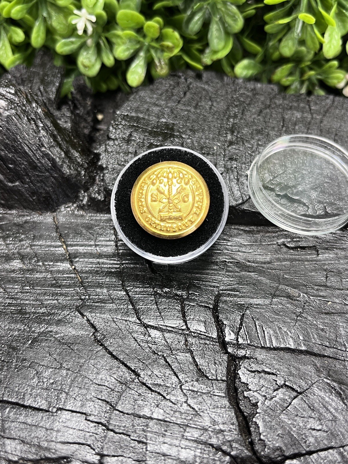 Old Rare Vintage Antique War Relic South Carolina Button Free Display Case