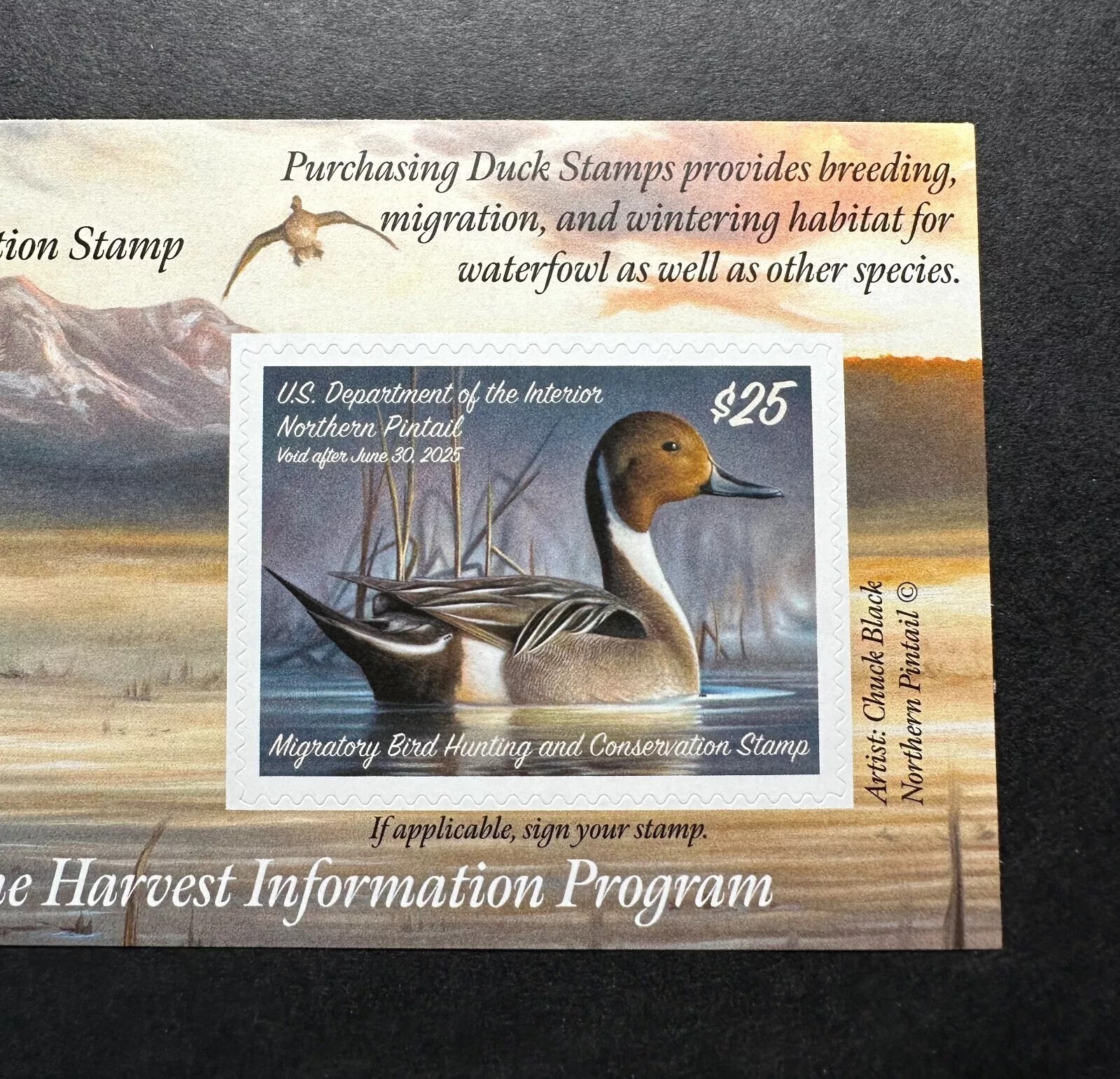 #RW91A 2024 - 2025 - US Federal Duck Stamp **CHUCK BLACK** Post Office FRESH