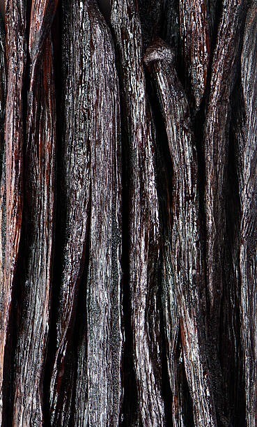 Madagascar Vanilla Bean Vanilla Beans baking Grade A Pods -1lb