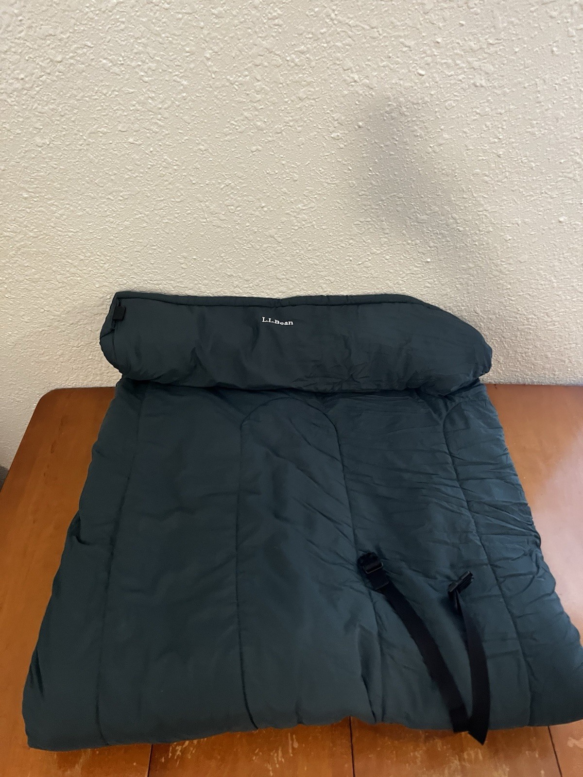LL Bean 20° Camp Bag Sleeping Bag Green Gray Camping Sleeping With Container