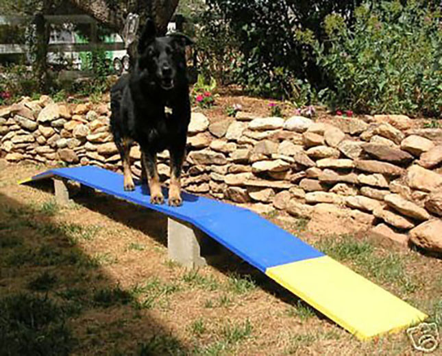 Dog Agility Mini Puppy Dog Walk