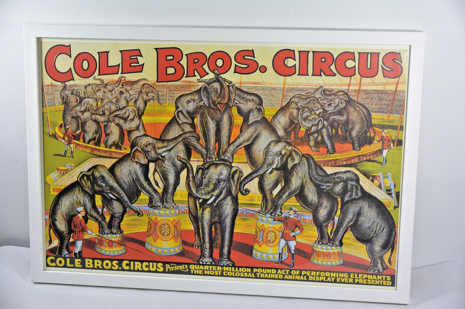 Cole Bros Circus Elephant Poster 1990s French Reproduction Professionally Framed